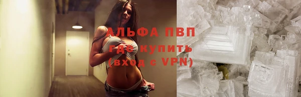 ГАЛЛЮЦИНОГЕННЫЕ ГРИБЫ Лихославль