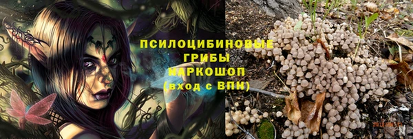 скорость Липки