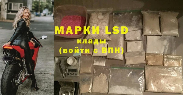 скорость Липки