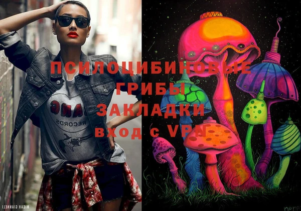ГАЛЛЮЦИНОГЕННЫЕ ГРИБЫ Лихославль