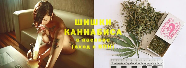 ГАЛЛЮЦИНОГЕННЫЕ ГРИБЫ Лихославль